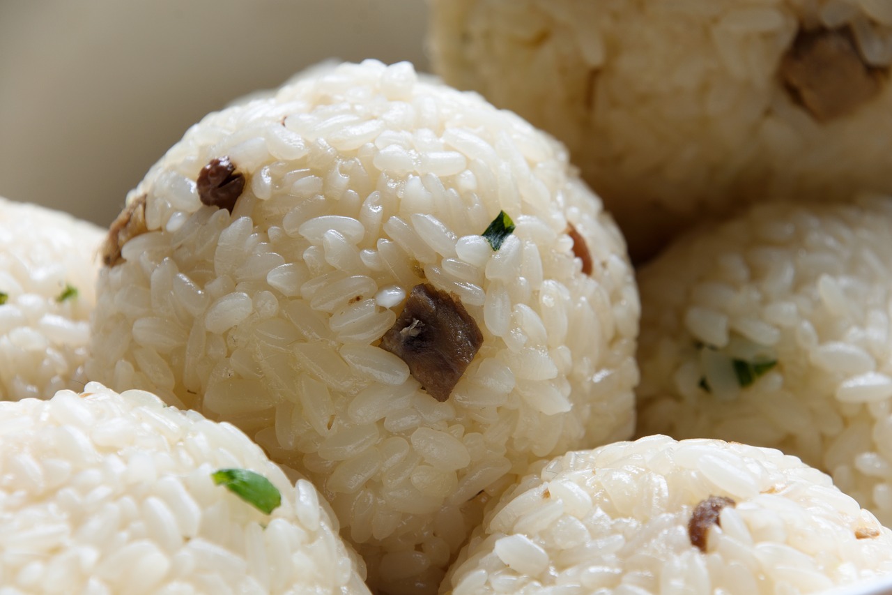 onigiri-3948400_1280